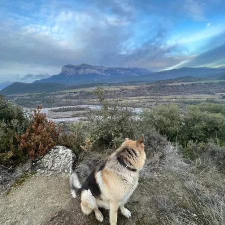 Πανσιόν Pirineos Aínsa