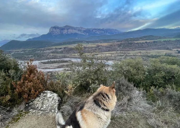 בית הארחה Pirineos אינסה